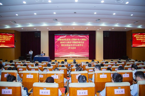 海螺集团党委召开深入贯彻中央八项规定精神学习教育专题辅导报告会暨党委理...